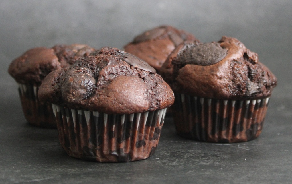 Chocolate Muffin
