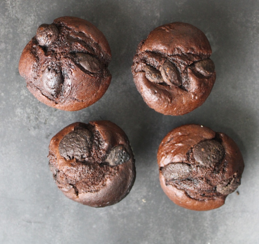 Chocolate Muffin